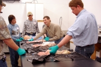Agtech Artificial Insemination School