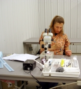 Agtech Bovine Embryo Transfer School