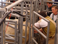 Agtech Training