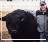 Tom Patterson Agtech Bovine Embryo Transfer and Artificial Insemination Sales